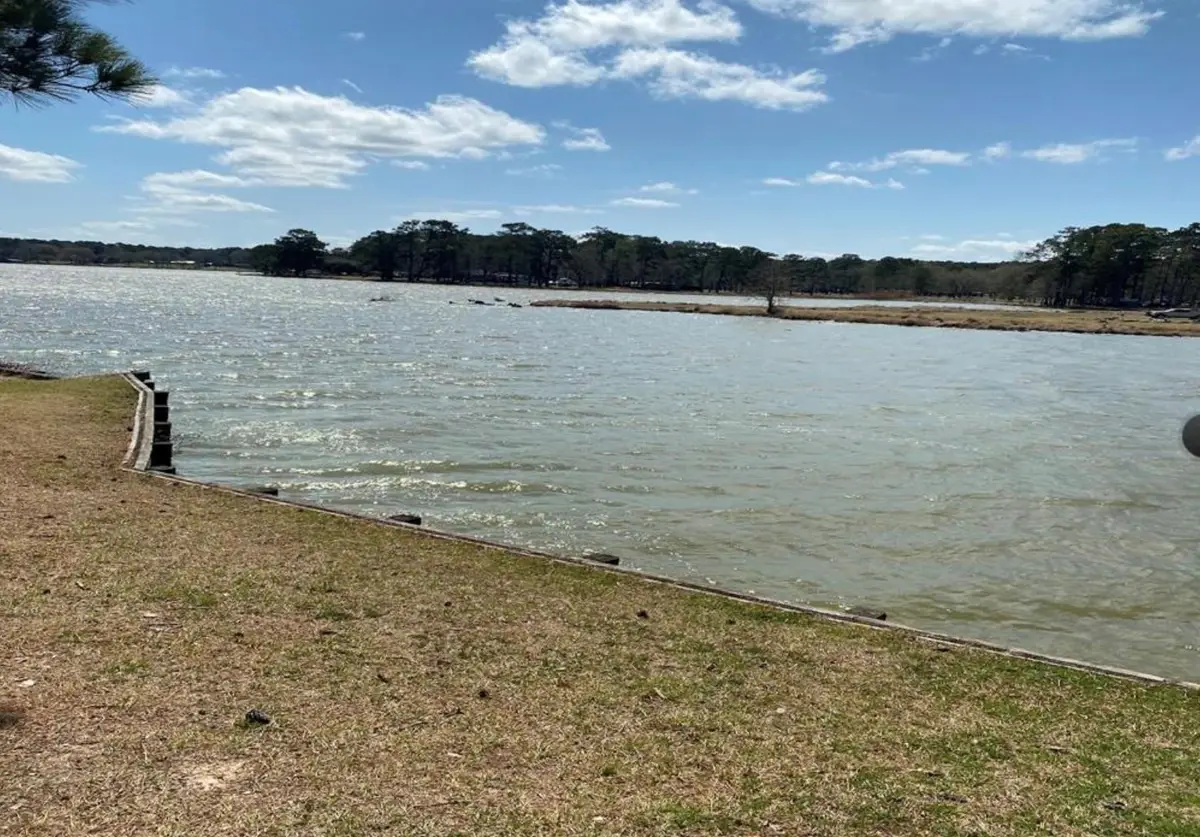370 Dawns Edge, Trinity, TX 75862 - #1