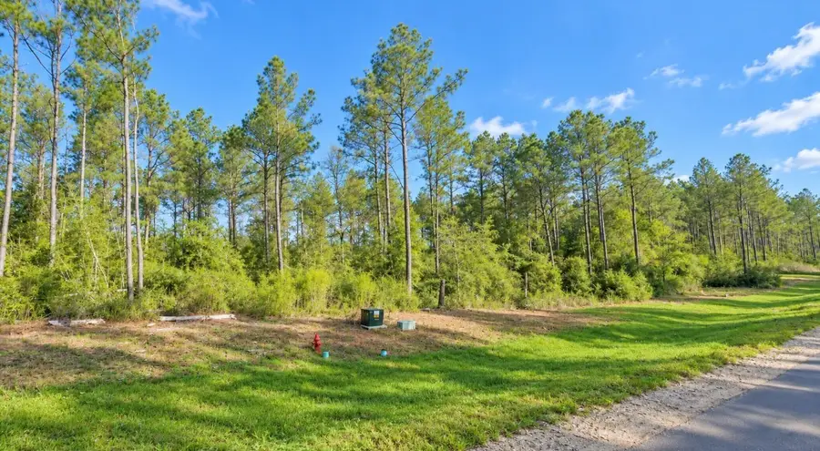 15987 Four Hills Road, Willis, TX 77378 - #3