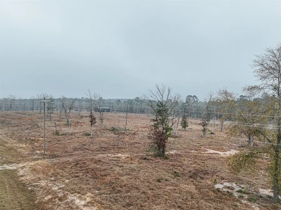TBD Fm-3152, Livingston, TX 77351 - Image #2