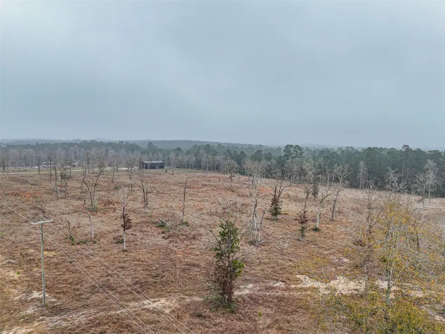 TBD Fm-3152, Livingston, TX 77351 - Image #3