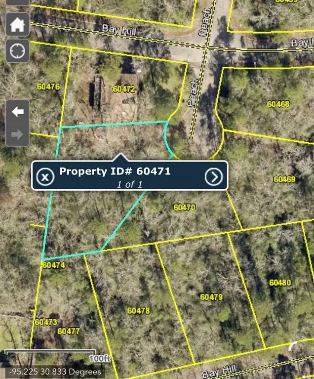 TBD Peach Drive, Huntsville, TX 77320 - Image #1