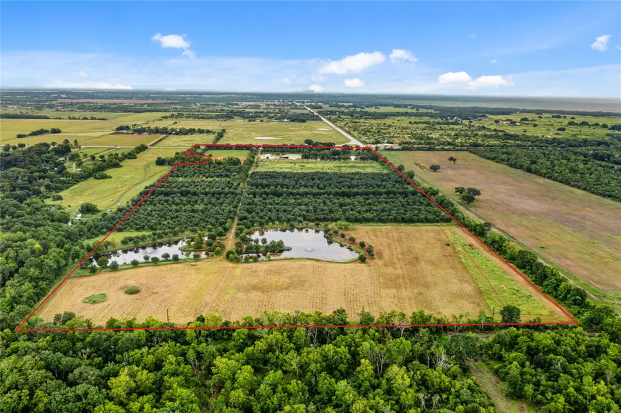 23111 Fm 1462 Road, Damon, TX 77430 - Image #3