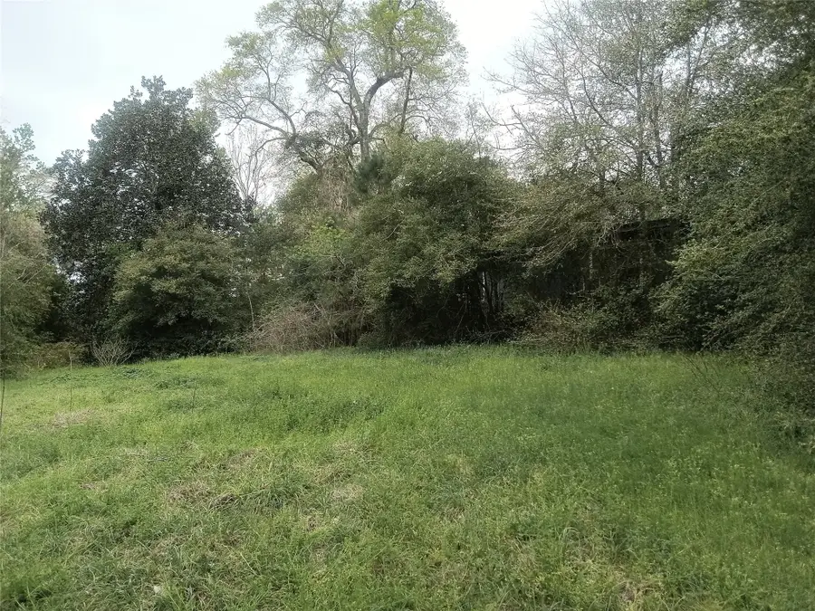 417 Sir Robert Burns Drive, Woodville, TX 75979 - Image #2