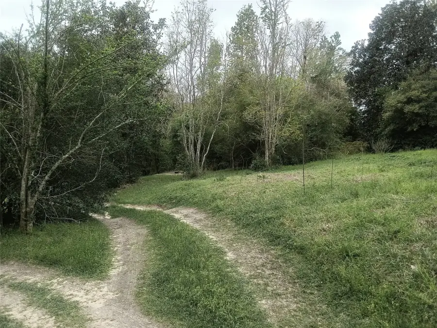 417 Sir Robert Burns Drive, Woodville, TX 75979 - Image #3