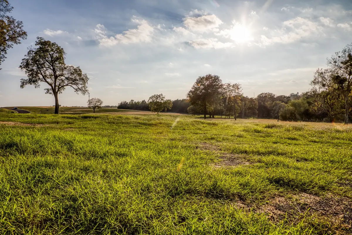 TBD Sunny Meadow Lot 23 Drive, Chappell Hill, TX 77426 - Image #1