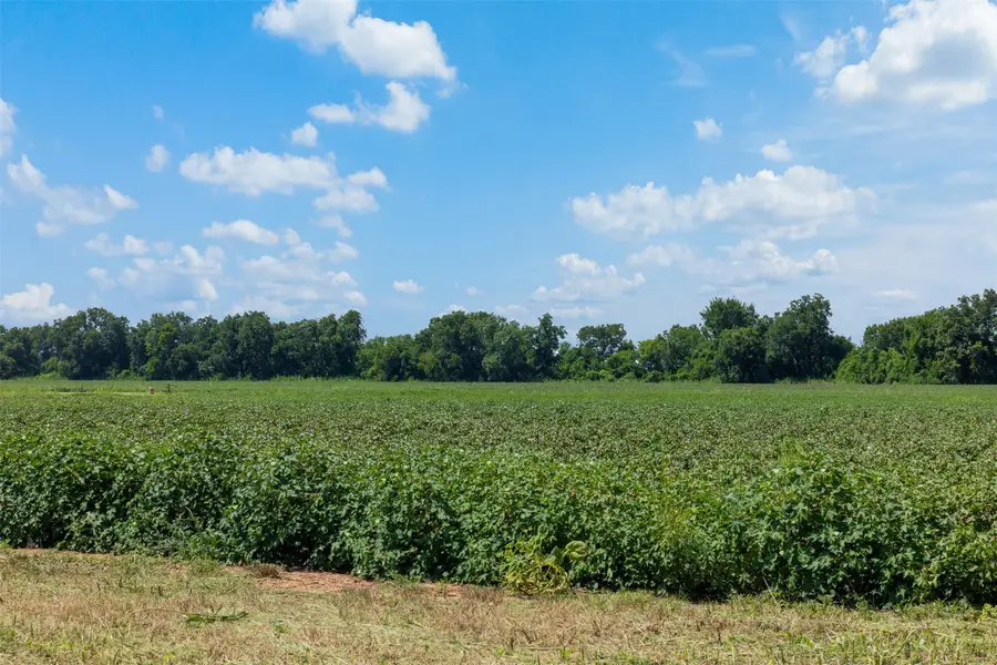 000 Fm 50, Snook, TX 77878 - Image #3