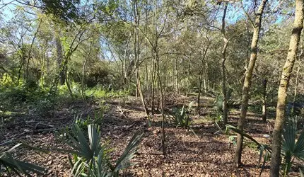 000 Bayou Road, Danbury, TX 77534 - Image #3