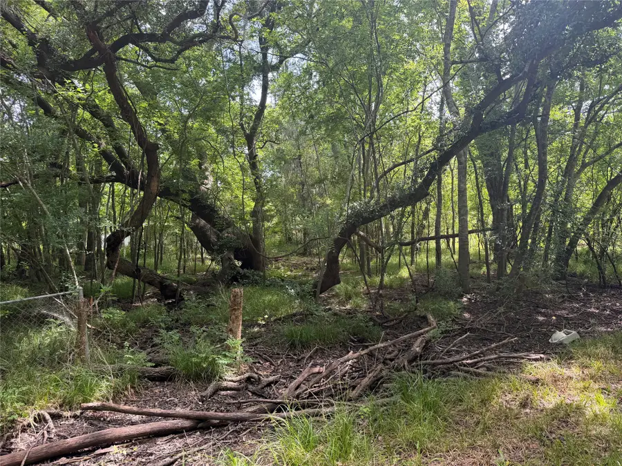 Lot 804 Eskimo Lane, Holiday Lakes, TX 77515 - #2