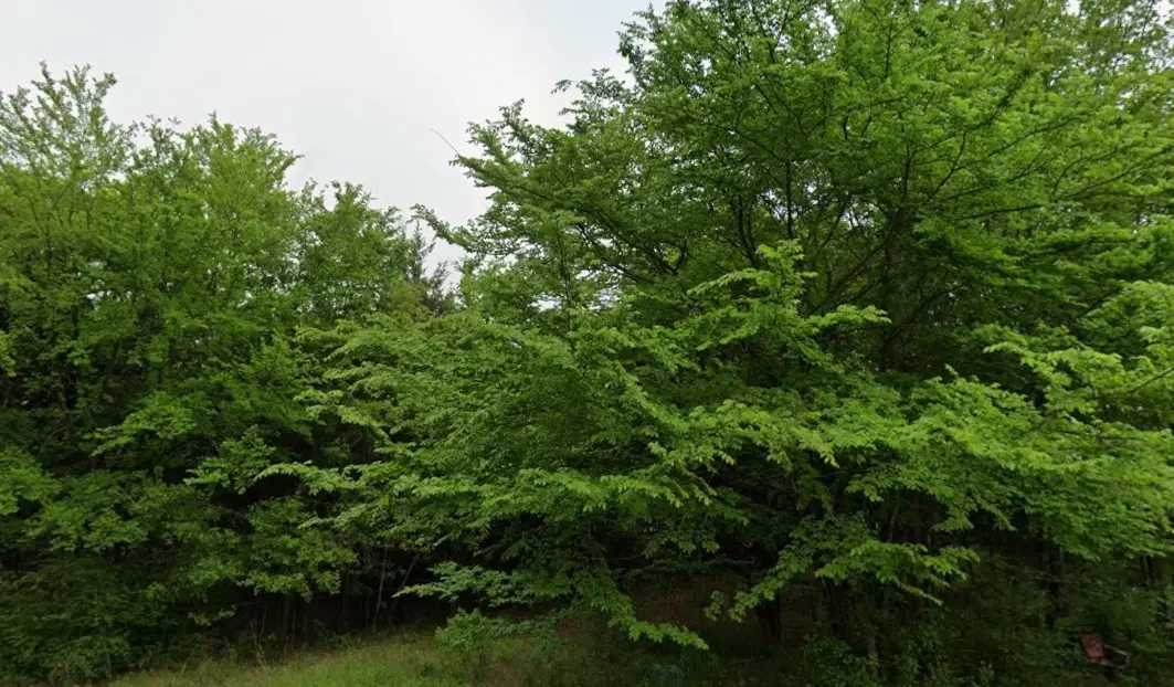 0 Sunset Bay Drive, Gun Barrel City, TX 75156 - Image #1