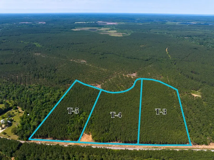 5 Camp Ruby Road, Livingston, TX 77351 - #2