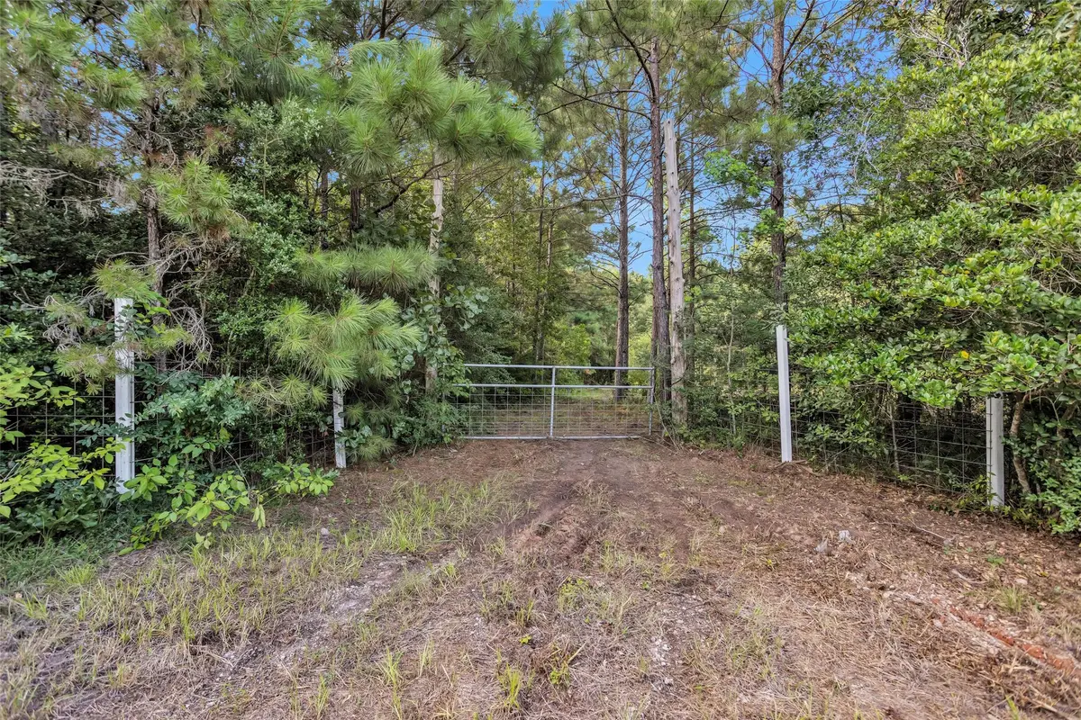 20860 Julie Lane, Montgomery, TX 77356 - #1