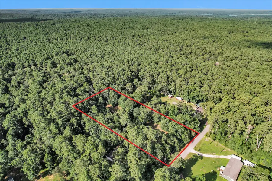 20860 Julie Lane, Montgomery, TX 77356 - #2