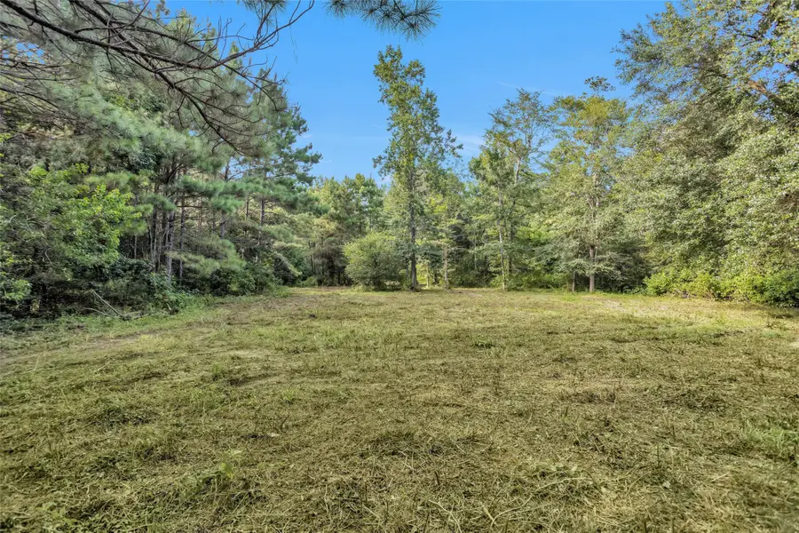 20860 Julie Lane, Montgomery, TX 77356 - #3