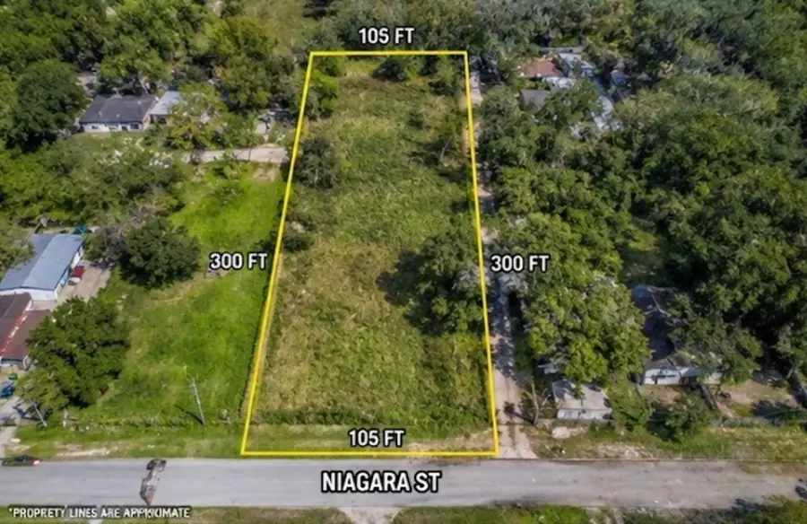 1031 Niagara Street, Houston, TX 77051 - #2