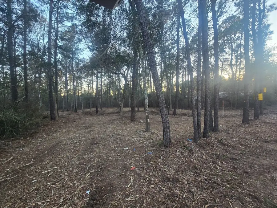 8358 Soapberry Lane, Plantersville, TX 77363 - #2