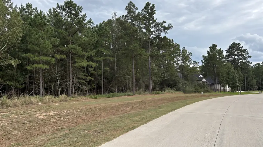 7241 Red Oak Grove Road, Montgomery, TX 77316 - #2
