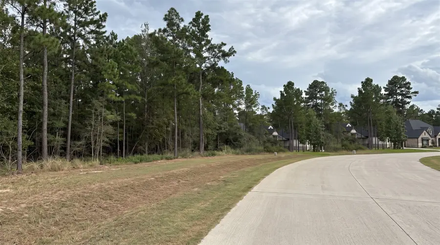 7241 Red Oak Grove Road, Montgomery, TX 77316 - #3