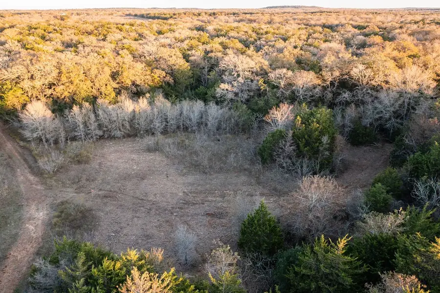17 Acres - 000 Grassyville Rd, Paige, TX 78659 - Image #3