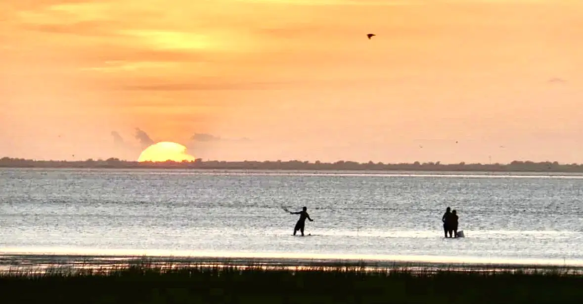 25922 Flamingo Drive, Galveston, TX 77554 - #1