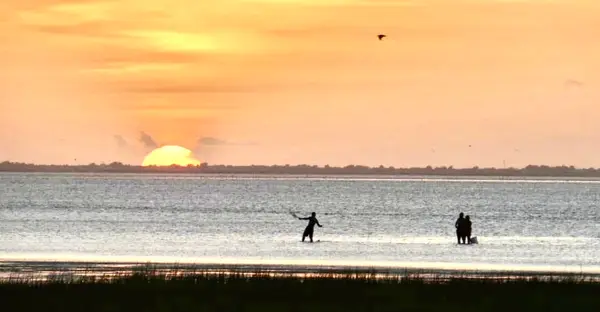 25922 Flamingo Drive, Galveston, TX 77554