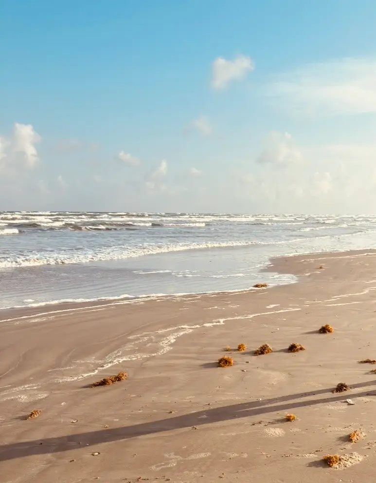 25922 Flamingo Drive, Galveston, TX 77554 - #2