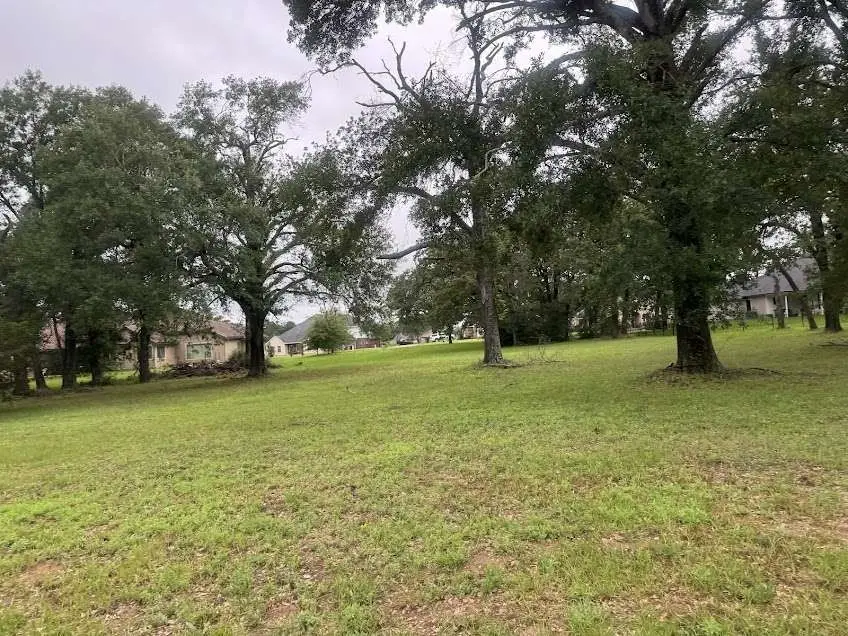 Lot 63 Birdie Drive, Hempstead, TX 77445 - #1