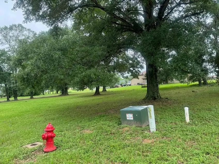 Lot 63 Birdie Drive, Hempstead, TX 77445 - #3