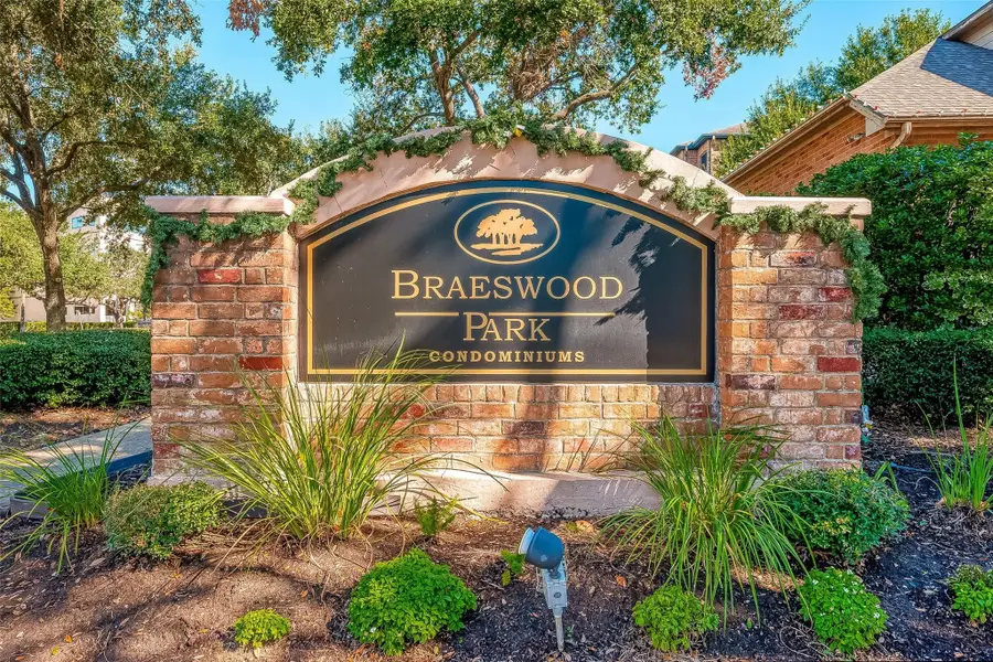 2255 Braeswood Park Drive #294, Houston, TX 77030 - Image #2