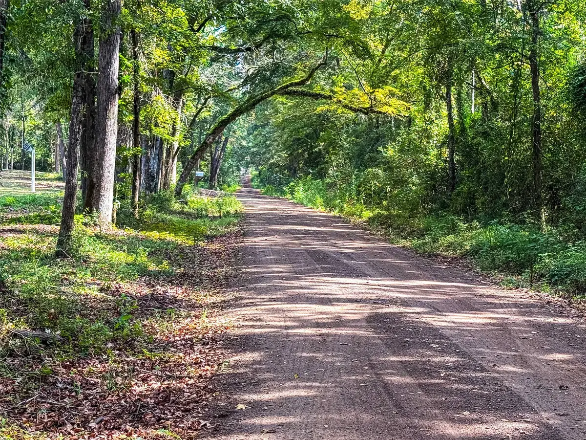 000 County Road 4111, Timpson, TX 75975 - Image #1