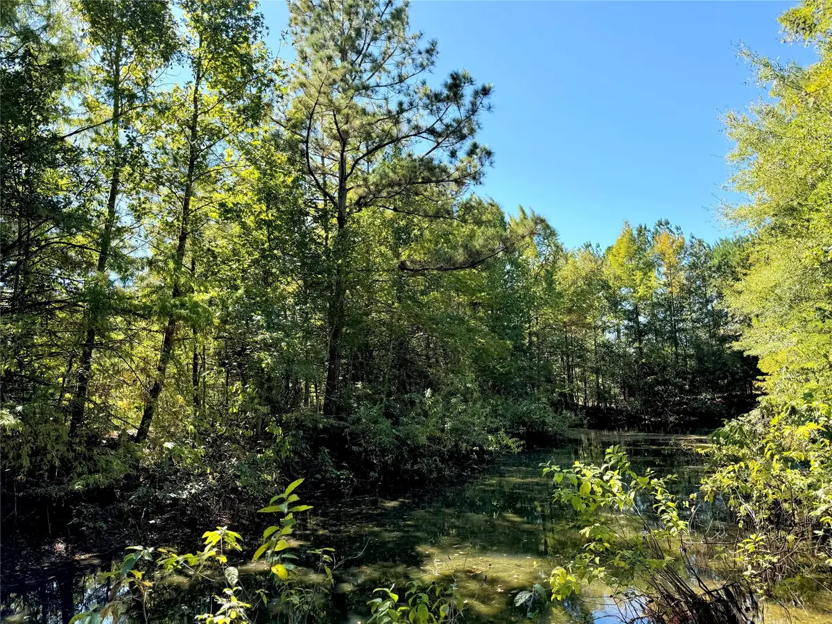 9596 State Highway 146 S, Livingston, TX 77351 - Image #1