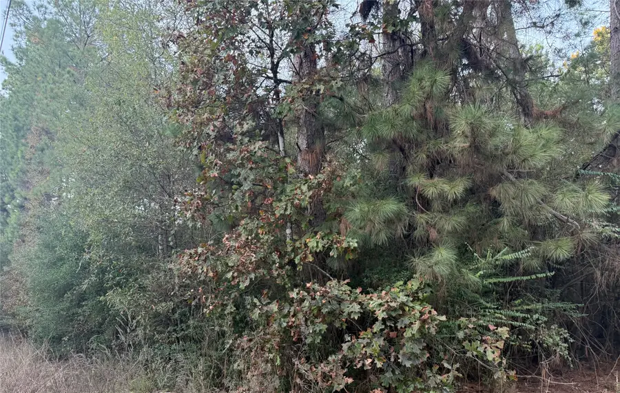 Lot 111-A Pioneer Tr, Livingston, TX 77351 - Image #3