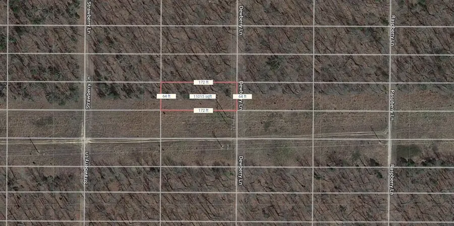 1523 Dewberry Lane, Horseshoe Bend, AR 72512 - Image #2