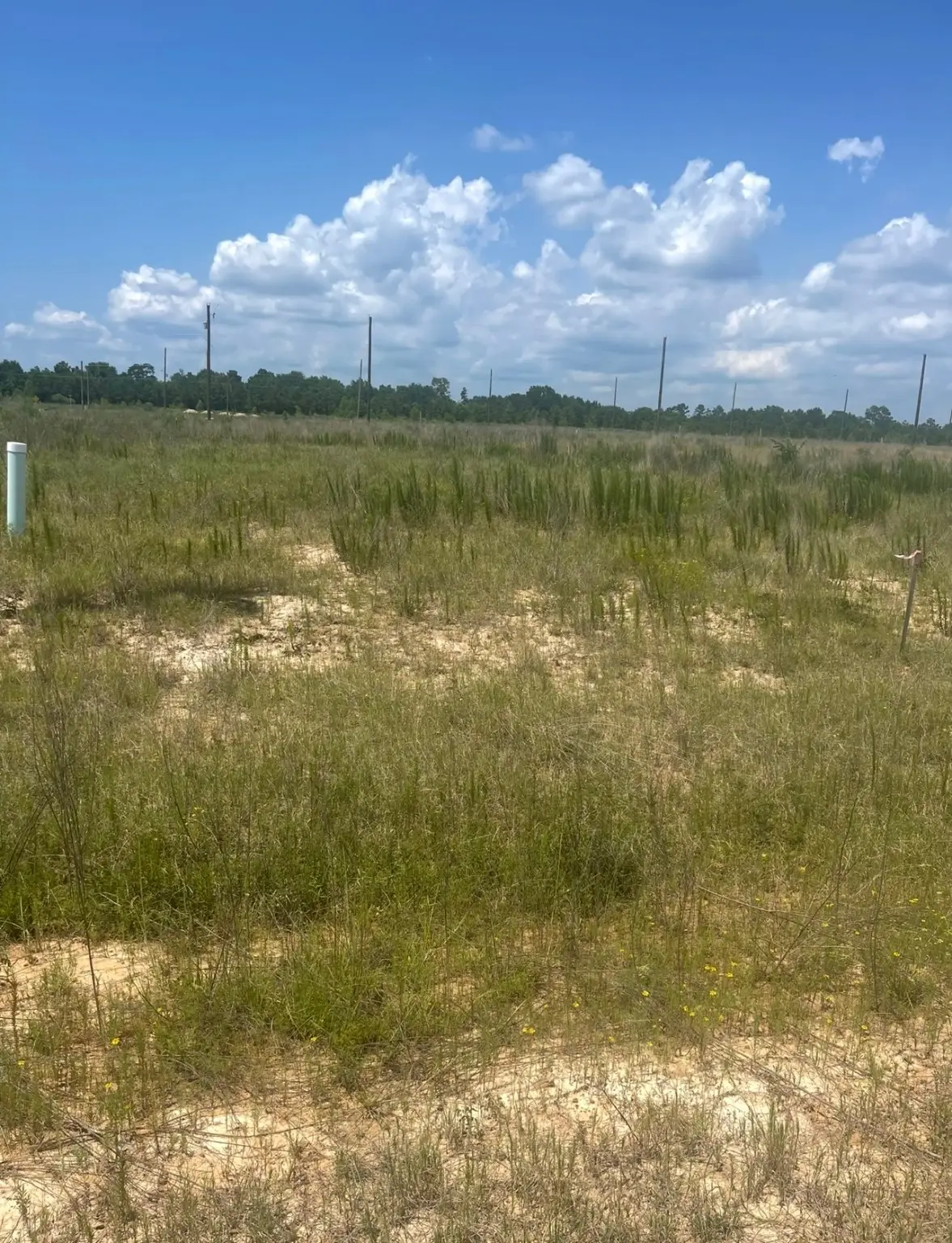 856 Road 591503 Teresa Drive, Cleveland, TX 77327 - #1