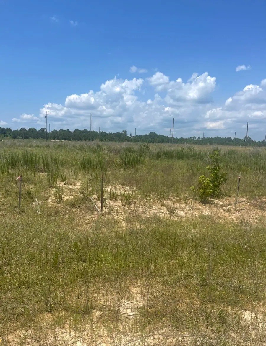 856 Road 591503 Teresa Drive, Cleveland, TX 77327 - #2