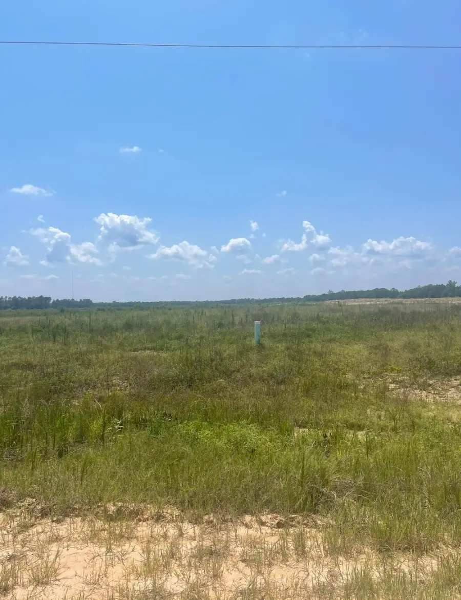 856 Road 591503 Teresa Drive, Cleveland, TX 77327 - #3