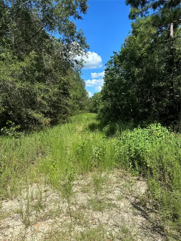 (43208) Wake Forest, Livingston, TX 77351