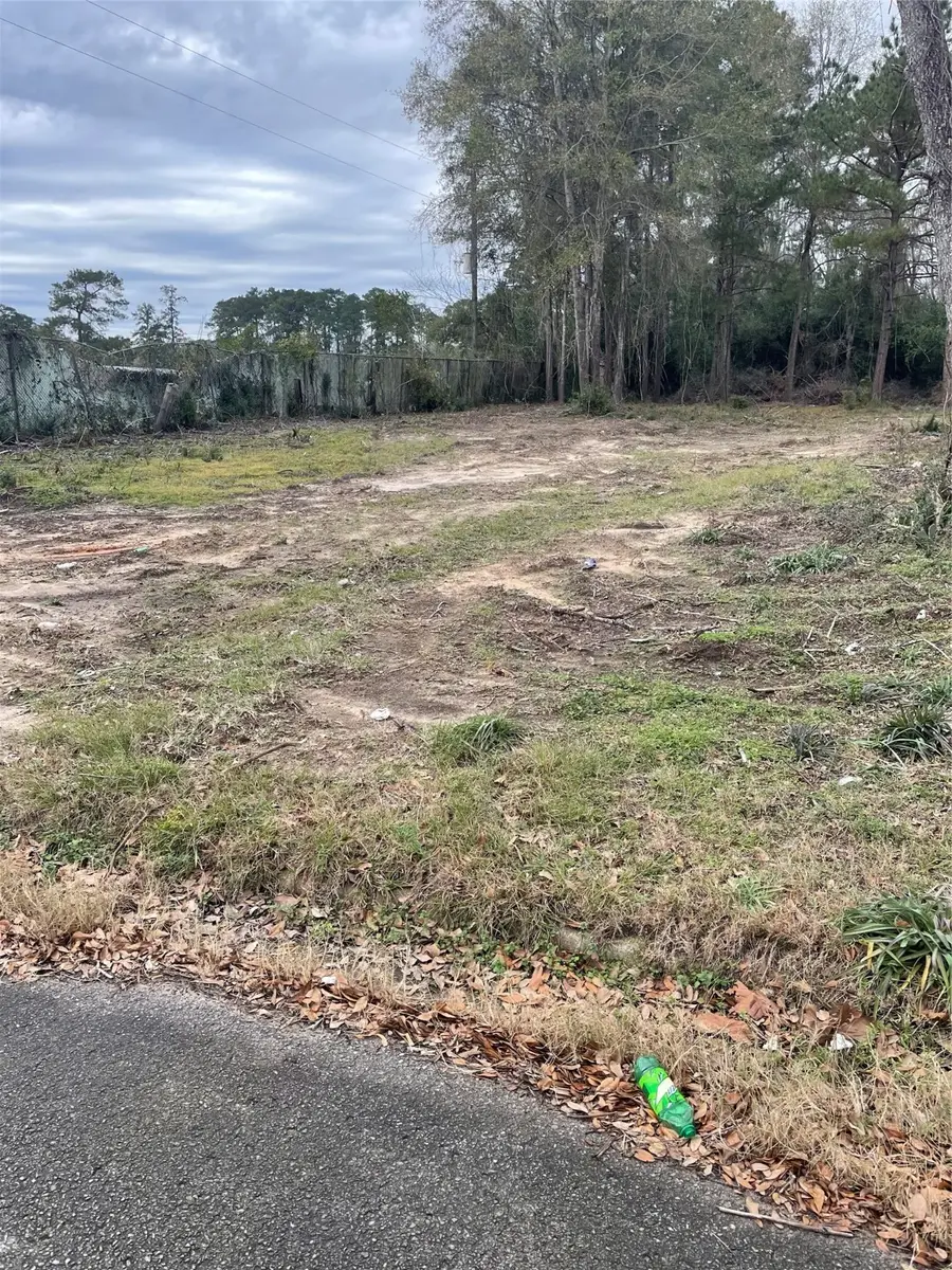 TBD Mlk, Woodville, TX 75979 - Image #3