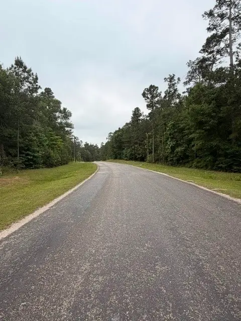 TBD Texas Grand Road, Huntsville, TX 77340 - #2