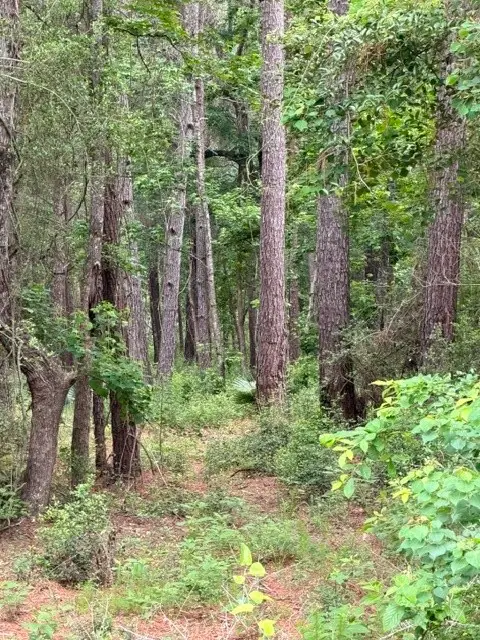 TBD Texas Grand Road, Huntsville, TX 77340 - #3