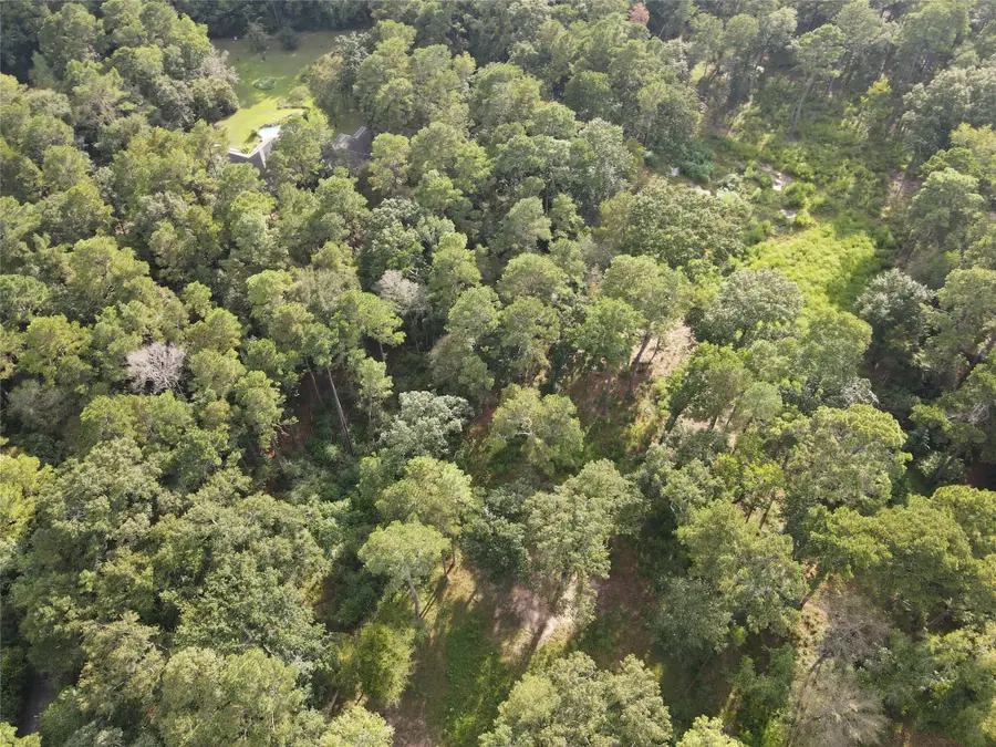 11313 Lake Forest Drive, Conroe, TX 77384 - #2