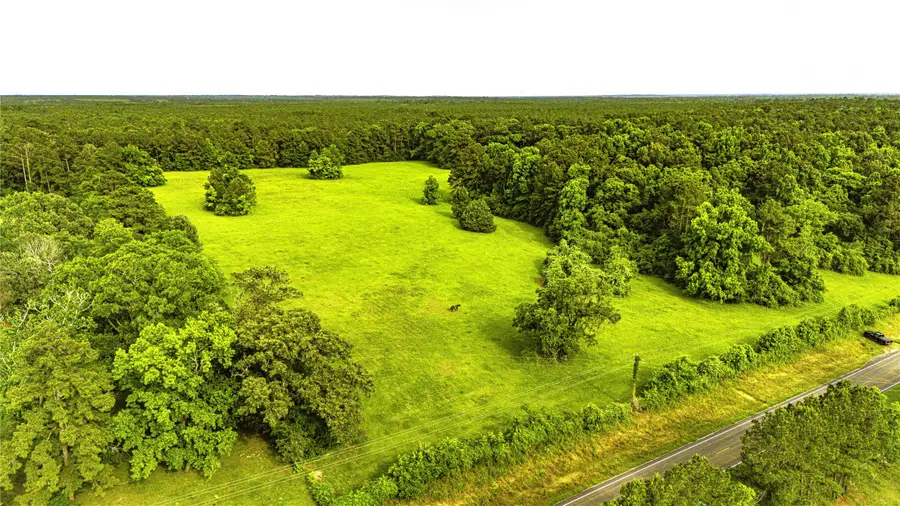 TBD Fm 2610 Livingston, Livingston, TX 77351 - #2