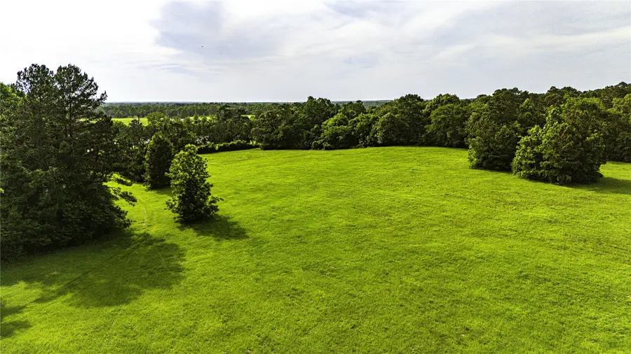 TBD Fm 2610 Livingston, Livingston, TX 77351 - #3