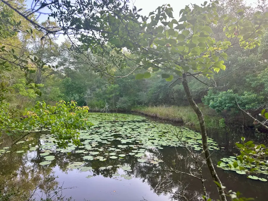 000 Sandy Creek Rd, Garwood, TX 77442 - Image #3