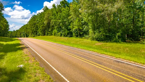 45 Acres Fm 229, Crockett, TX 75835