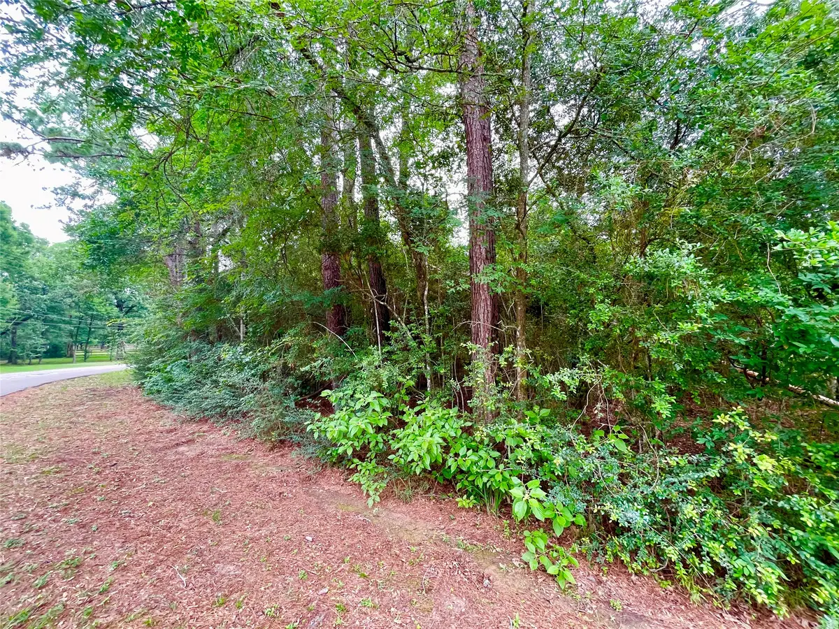 30803 Green Forest, Magnolia, TX 77354 - #1