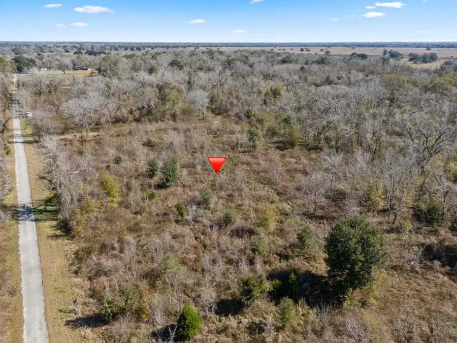 0 Cr 165/ Holmes, Cedar Lane, TX 77415 - Image #2
