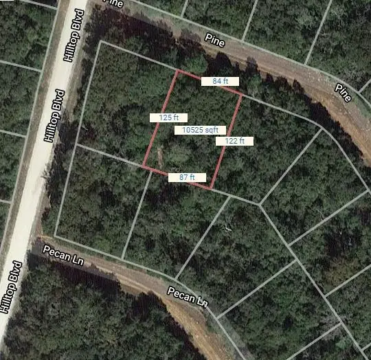 Lot 12 Pine, Normangee, TX 77871 - Image #2