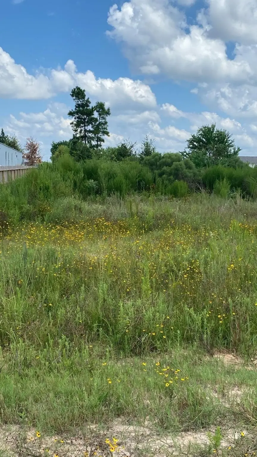 439 Road 5842, Cleveland, TX 77327 - Image #3