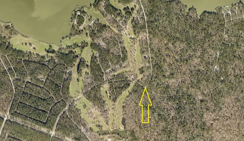 22301 Doral Drive, Huntsville, TX 77320 - Image #1