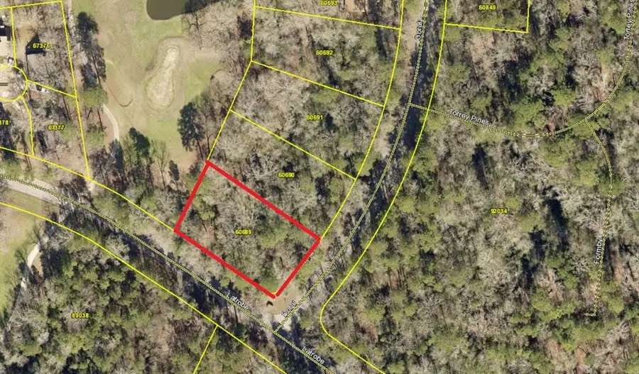 22301 Doral Drive, Huntsville, TX 77320 - Image #2